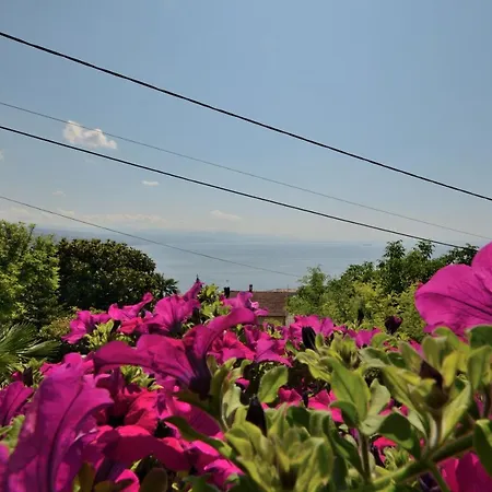 Relax 公寓